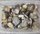 20260714_111255.webp