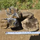 Drycreek flint 2.webp