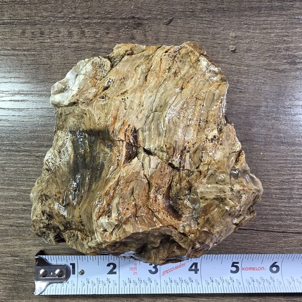 Pwon04 2.webp