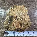 Pwon04 2.webp