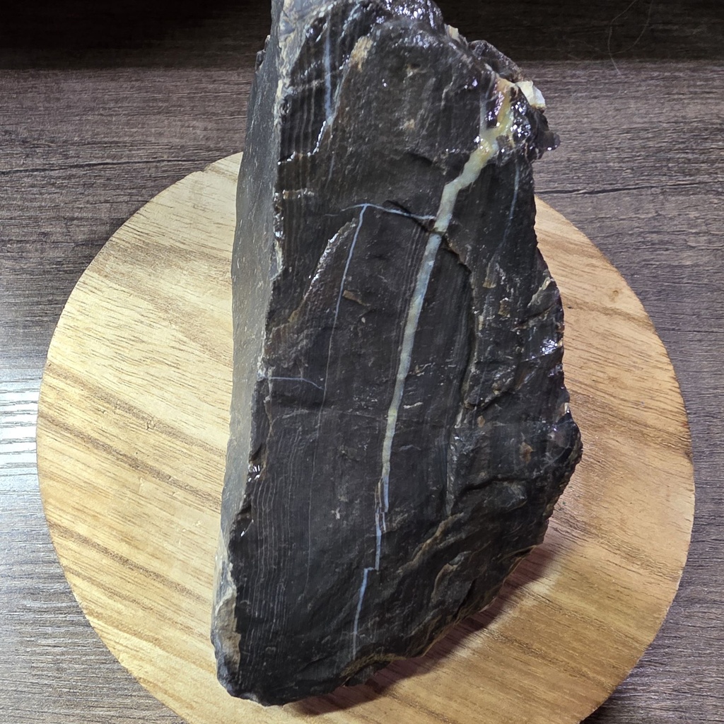 NATURAL AGATIZED PETRIFIED WOOD 2LBS 7OZ (OREGON)