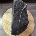 NATURAL AGATIZED PETRIFIED WOOD 2LBS 7OZ (OREGON)
