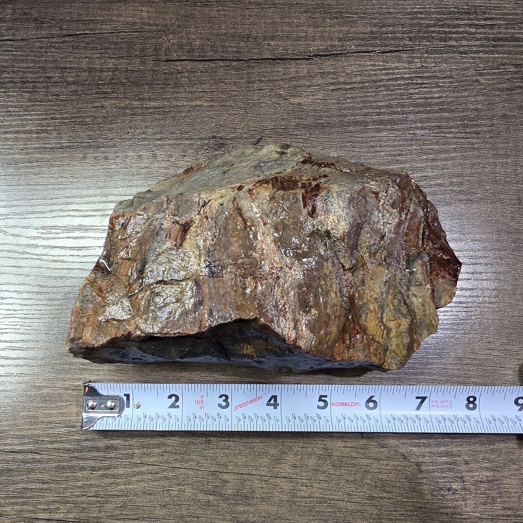 [PWON02] NATURAL AGATIZED PETRIFIED WOOD 3LBS 13OZ (OREGON)