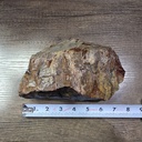 NATURAL AGATIZED PETRIFIED WOOD 3LBS 13OZ (OREGON)