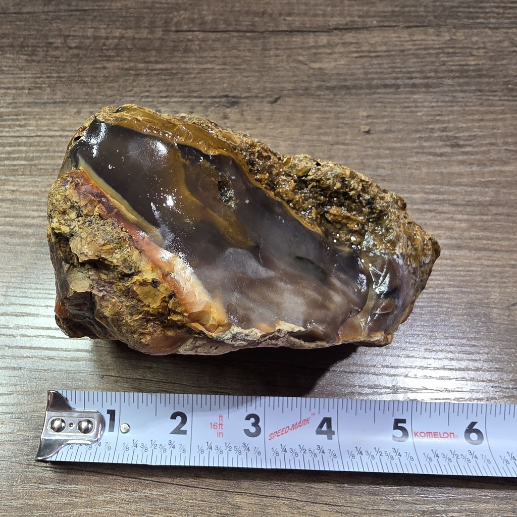 NATURAL AGATIZED PETRIFIED WOOD 2LBS 4OZ (OREGON)