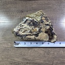 NATURAL AGATIZED PETRIFIED WOOD 3LBS 2OZ (OREGON)