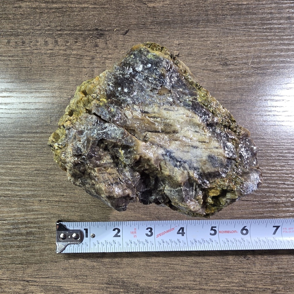 NATURAL AGATIZED PETRIFIED WOOD 2LBS 5OZ (OREGON)