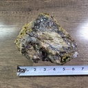 NATURAL AGATIZED PETRIFIED WOOD 2LBS 5OZ (OREGON)