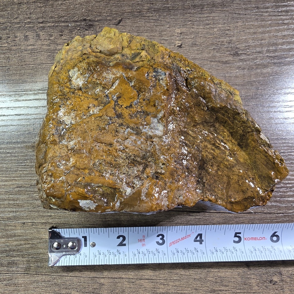 NATURAL AGATIZED PETRIFIED WOOD 3LBS (OREGON)